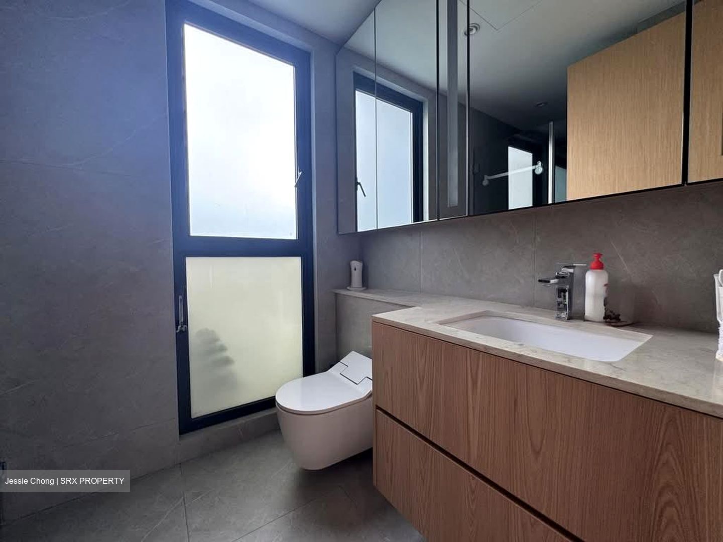 Peak Residence (D11), Condominium #595182901